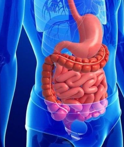 Hướng dẫn sau mổ